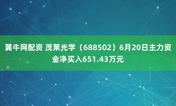 翼牛网配资 茂莱光学（688502）6月20日主力资金净买入651.43万元
