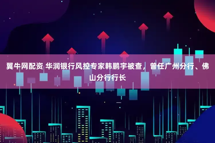 翼牛网配资 华润银行风控专家韩鹏宇被查，曾任广州分行、佛山分行行长