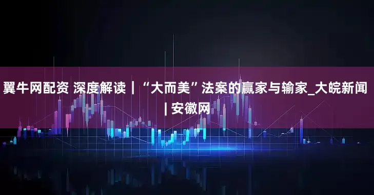 翼牛网配资 深度解读｜“大而美”法案的赢家与输家_大皖新闻 | 安徽网