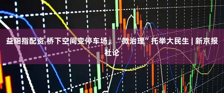 益阳指配资 桥下空间变停车场，“微治理”托举大民生 | 新京报社论